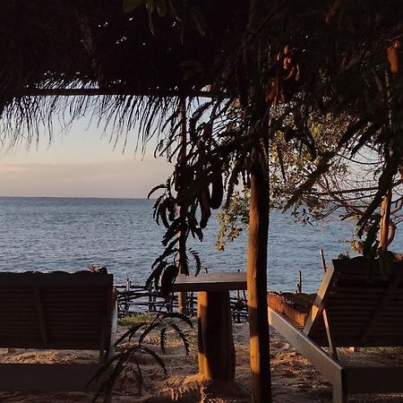 Oceano Atins Hotel Buitenkant foto