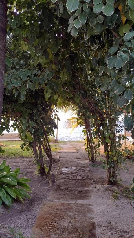 Oceano Atins Hotel Buitenkant foto